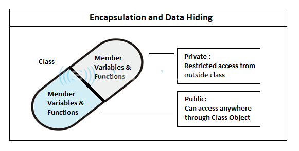 التغليف الوراثة والمصطلحات تعدد الأشكال المستخدمة في برمجة وجوه المنحا